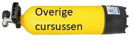 Overige cursussen