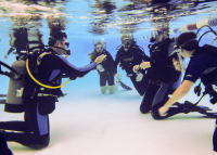 PADI Open Water Diver (vakantiecursus)  Sneek